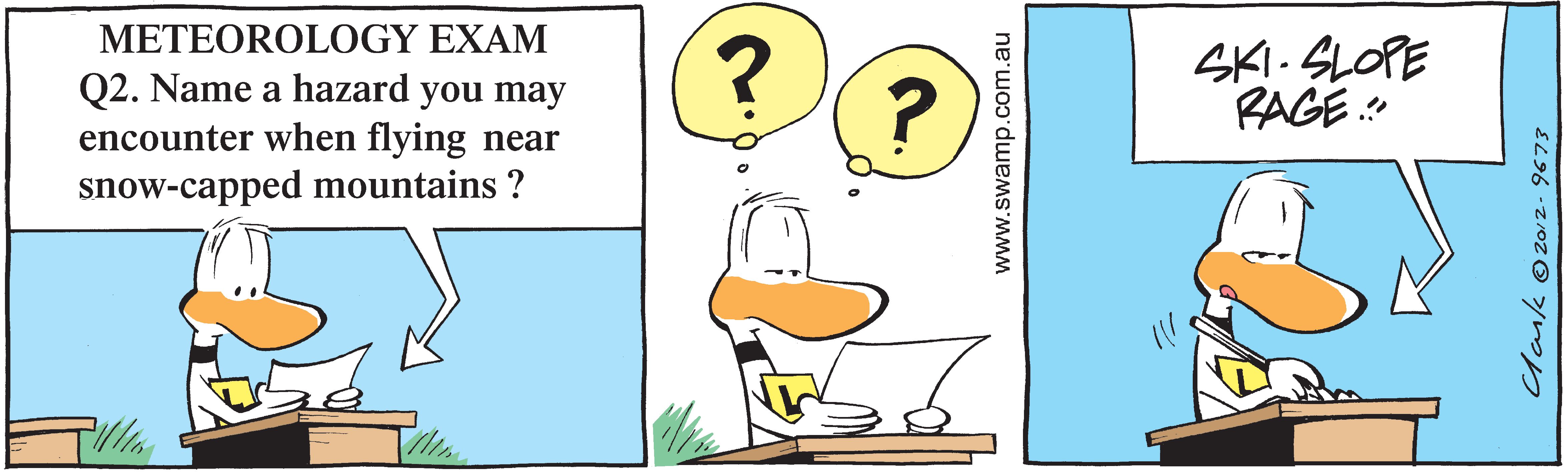 Alpine Flying Hazard Comic
