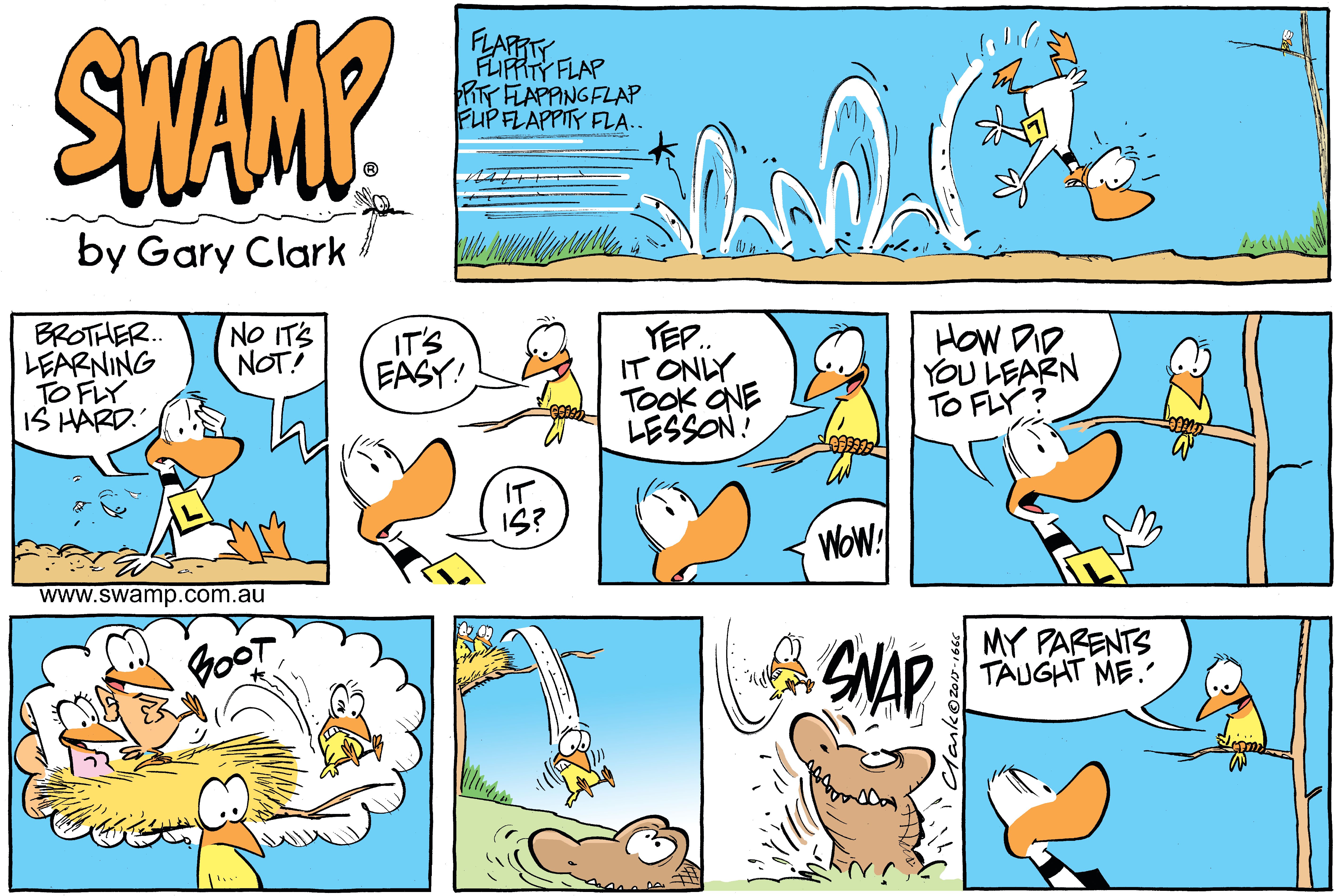 Ding Duck Bird Advice Comic - Swamp Cartoons