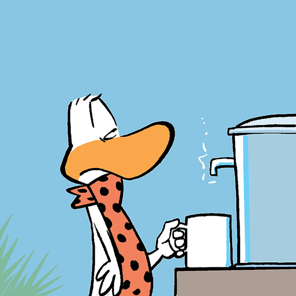 Flying School Instructor