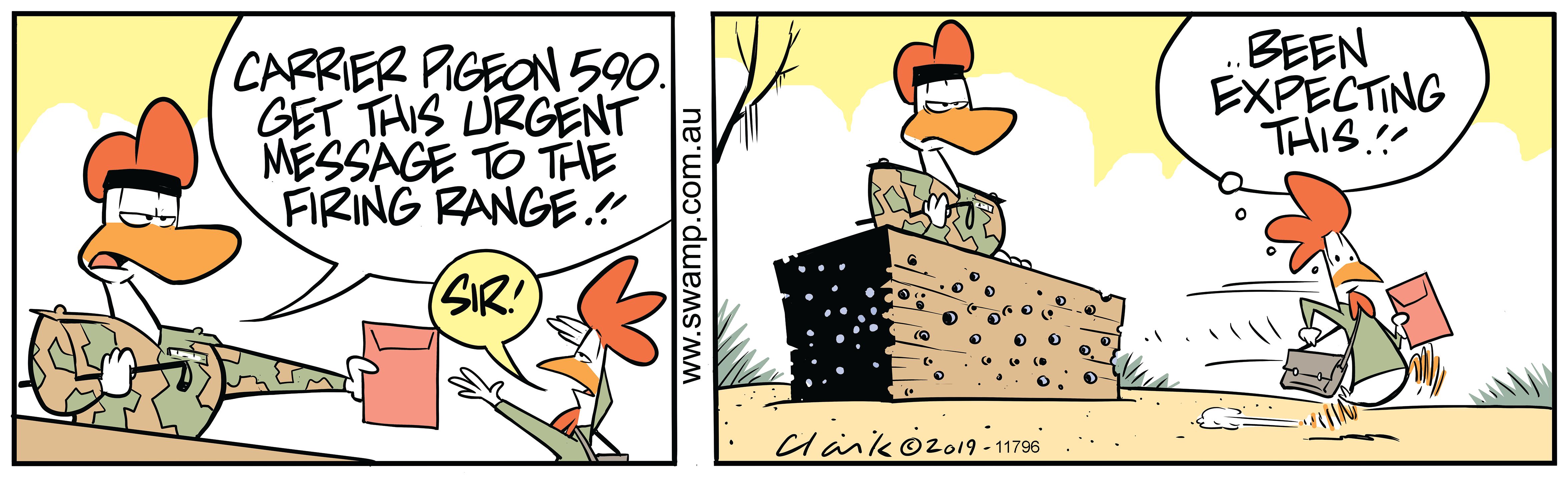 Carrier Pigeon - Swamp Cartoons Carrier Pigeon - Swamp Cartoons