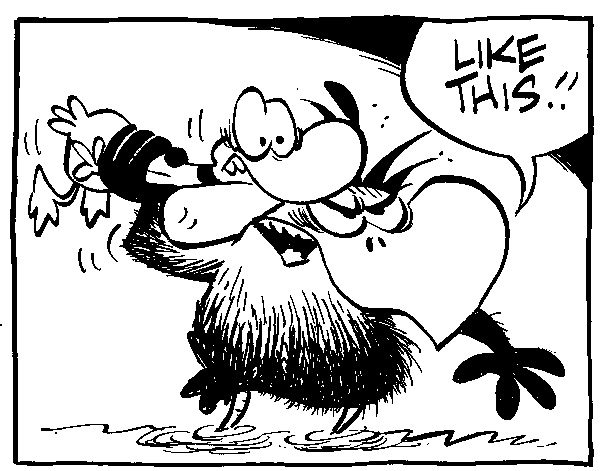 Ding Duck, What a Take-off