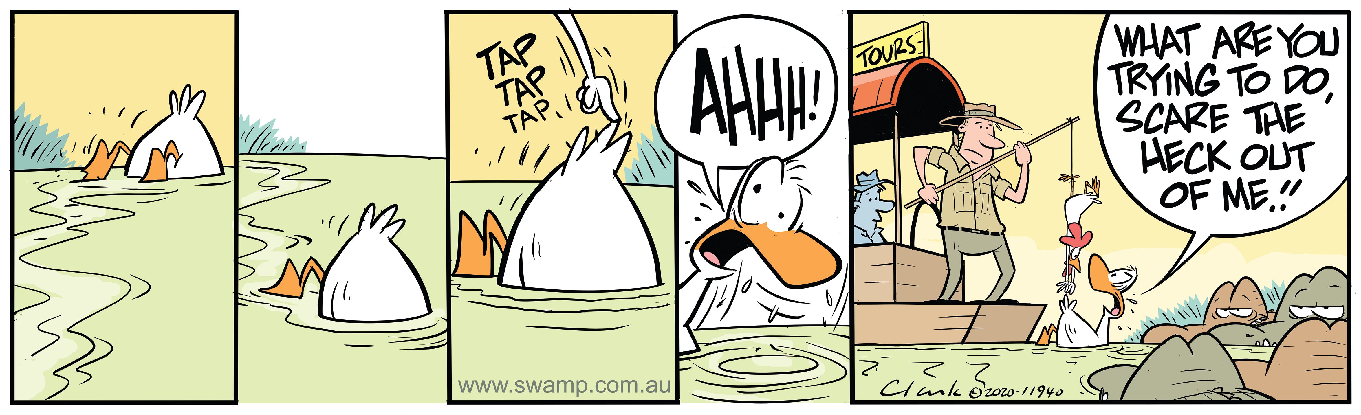 How To Scare The Duck Swamp Cartoons