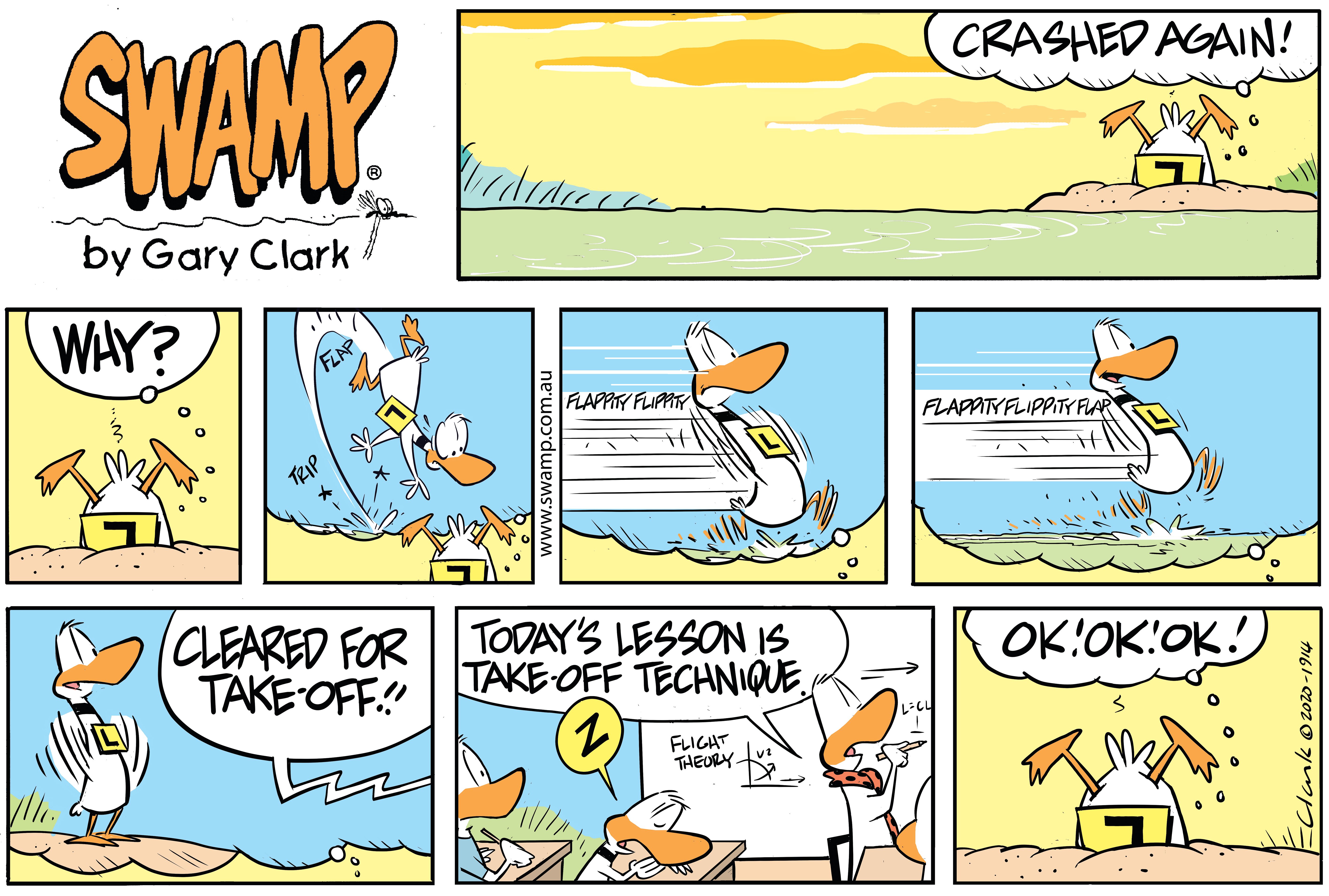 Flight Theory Lesson Technique - Swamp Cartoons