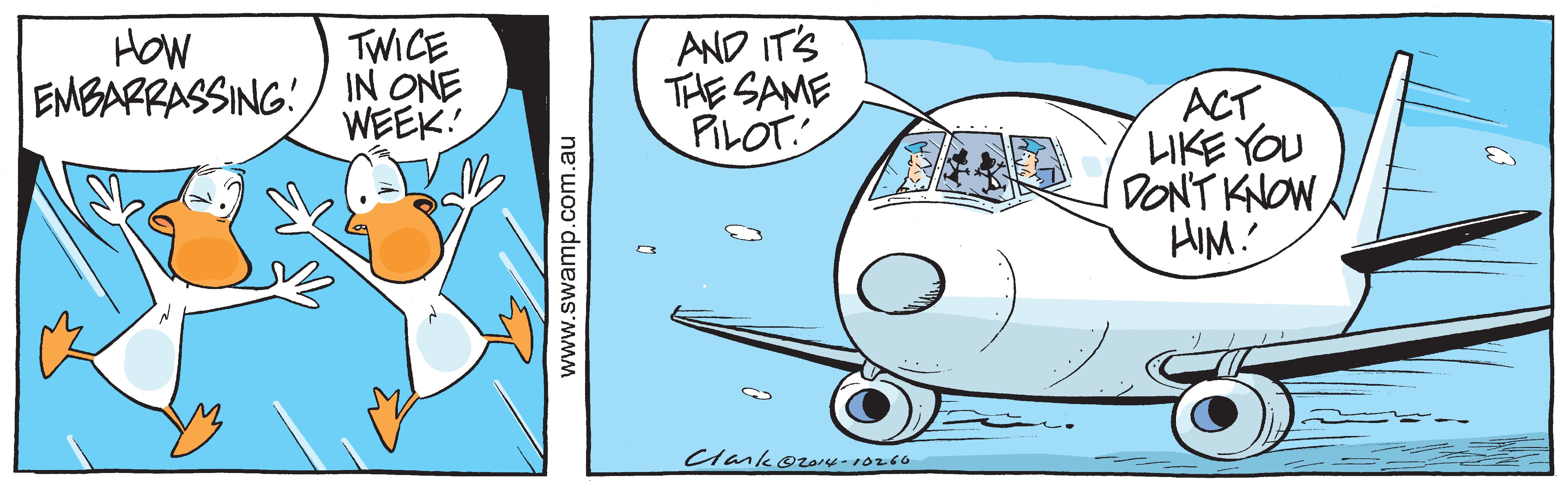 Birdstrike Again Comic