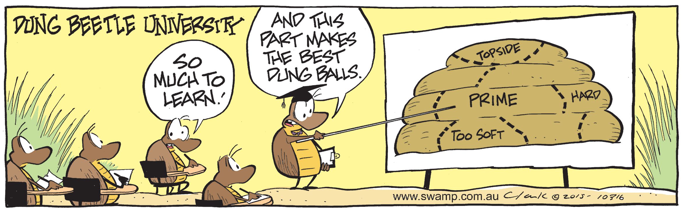 Dung Beetle University Comic
