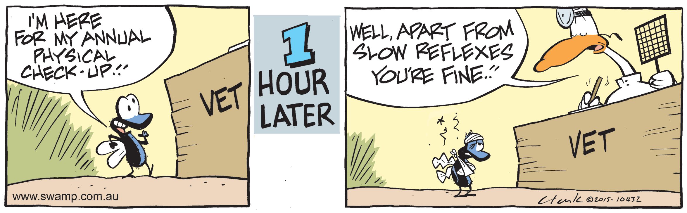 Fly Vet Check Comic