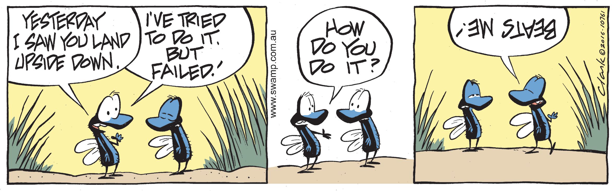 Fly Upside Landing Comic