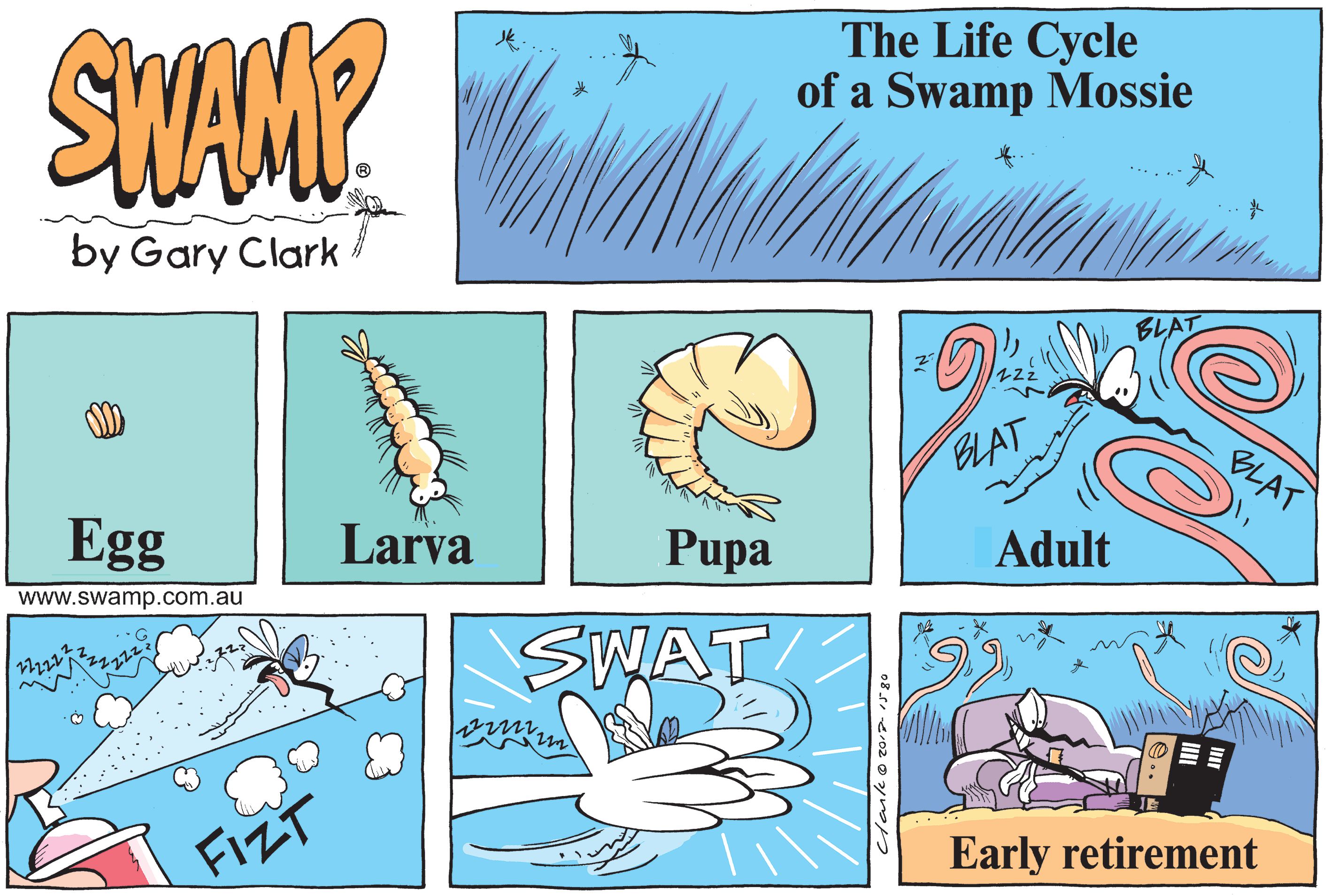 Life Cycle of Swamp Mossie Comic