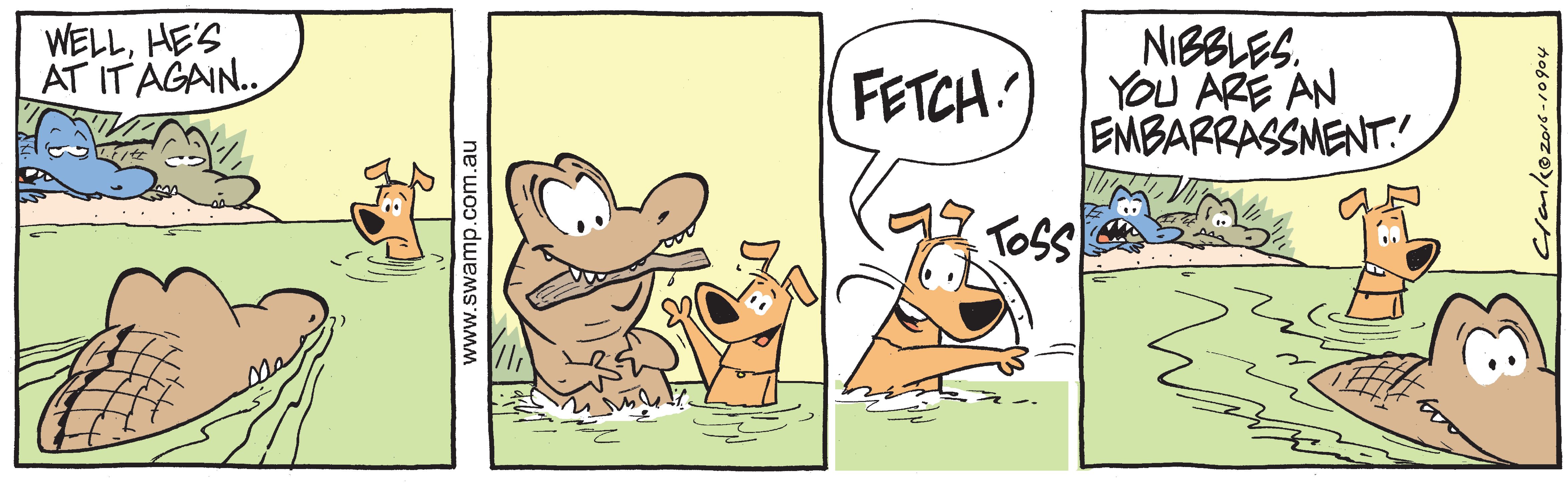 fetch the stick