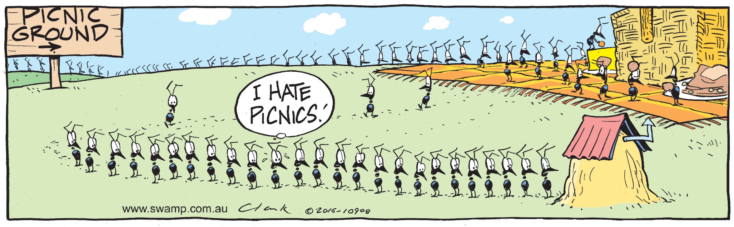 Ants enjoy a picnic