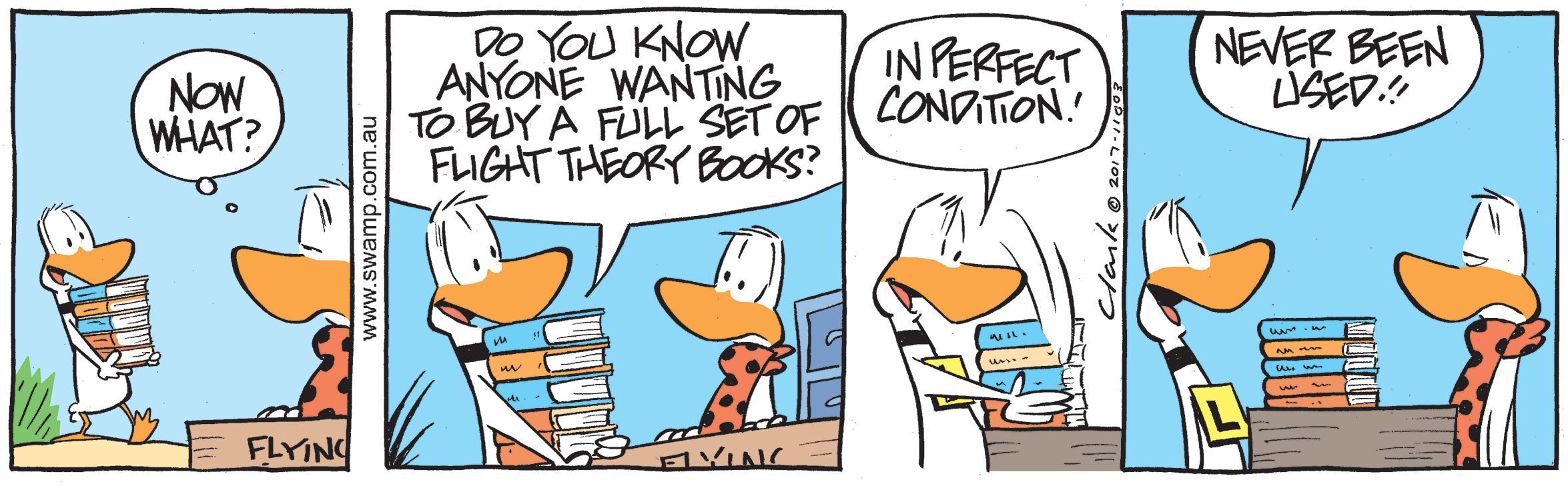 Flight Theory Books