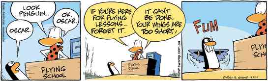 Swamp Cartoon - Flying Instructor WingsDecember 30, 2008