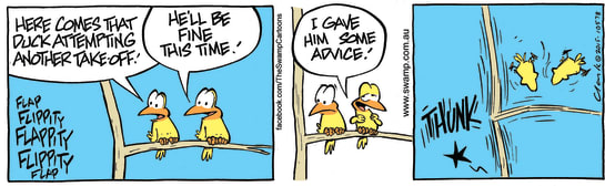 Swamp Cartoon - Ding Duck Bird Advice ComicNovember 24, 2015