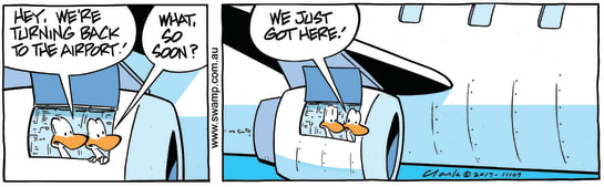 Swamp Cartoon - Birdstrike Returning to AirportAugust 4, 2017