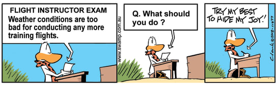 Swamp Cartoon - Flight Instructor JoyOctober 10, 2018