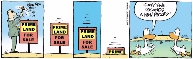 The Swamp Ducks are observing the real estate agent hammering in land prime land for sale sign into marshy land. Swamp Cartoon of the Day - Prime Land For Sale