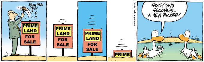Swamp Cartoon of the Day - Prime Land For Sale