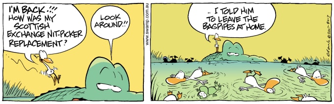 Swamp Cartoon of the Day - Nitpicker is Back