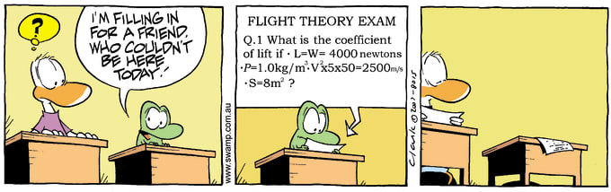 Swamp Cartoon of the Day - Flight Theory Exam