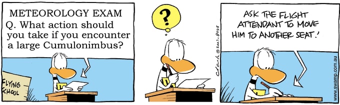 Swamp Cartoon of the Day - Meteorology Exam