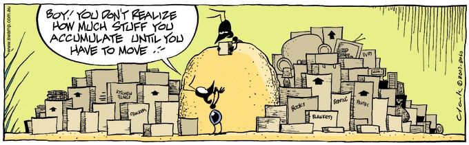 Swamp Cartoon of the Day - Earthy Possessions