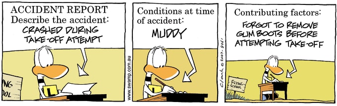 Swamp Cartoon of the Day - Conditions at Time of Accident