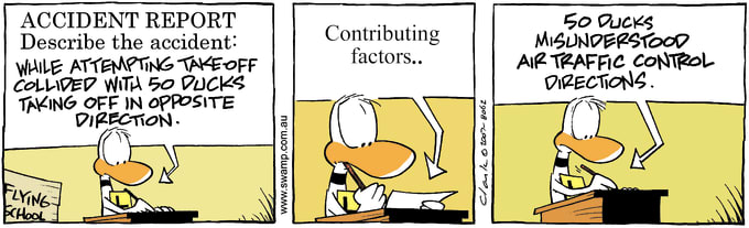 Swamp Cartoon of the Day - Ding Duck Accident Report
