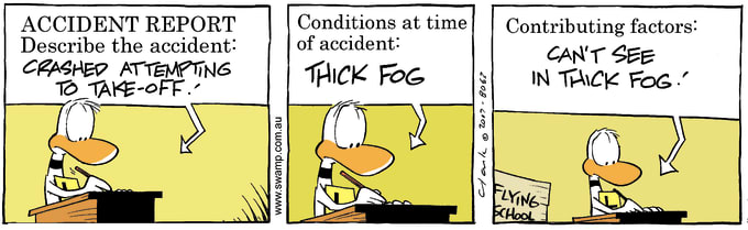 Swamp Cartoon of the Day - Thick Fog