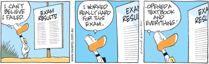 Swamp Cartoon of the Day - Rational Thinking