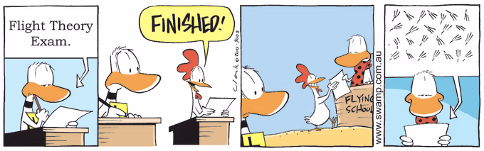 Swamp Cartoon of the Day - Chicken has it Nailed