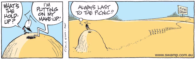 The male ant has discovered that lifes like that when waiting for your wife to get her make-up on to go out. Swamp Cartoon of the Day - Lifes Like That