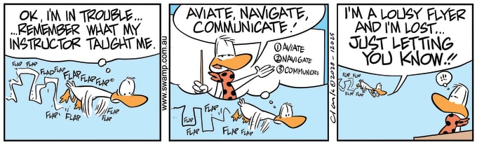 Swamp Cartoon of the Day - Aviator Duck in Trouble