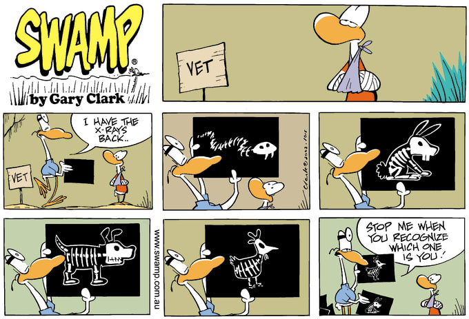Swamp Cartoon of the Day - Xrays