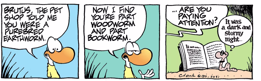 Swamp Cartoon - Purebred PetJanuary 1, 1999