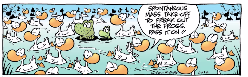 Swamp Cartoon - Spontaneous Take-OffJanuary 1, 1999