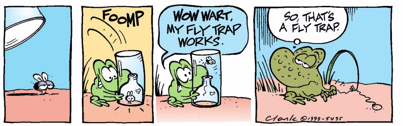 Swamp Cartoon - Fly CatchingJanuary 1, 1999