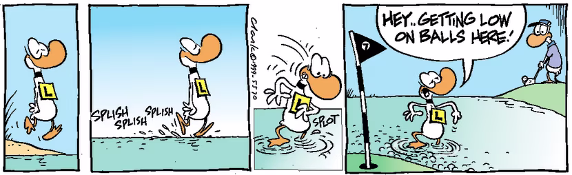 Swamp Cartoon - Water ballsJanuary 1, 1999