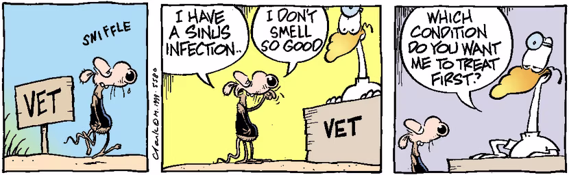 Swamp Cartoon - Sinus InfectionJanuary 1, 1999