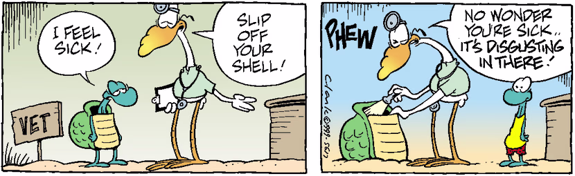 Swamp Cartoon - Sick TurtleJanuary 1, 1999