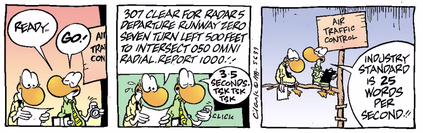 Swamp Cartoon - Standard SpeedJanuary 1, 1999