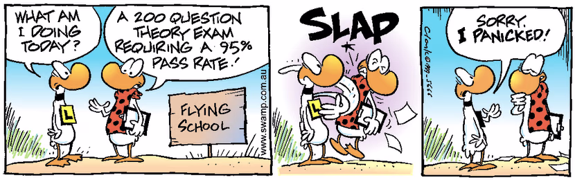 Swamp Cartoon - Theory ExamNovember 18, 1999