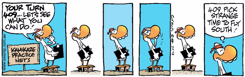 Kamikaze Duck is patiently waiting for student duck 409 to do his crash into practice net. Swamp Cartoon - Kamikaze Duck WaitingDecember 2, 1999