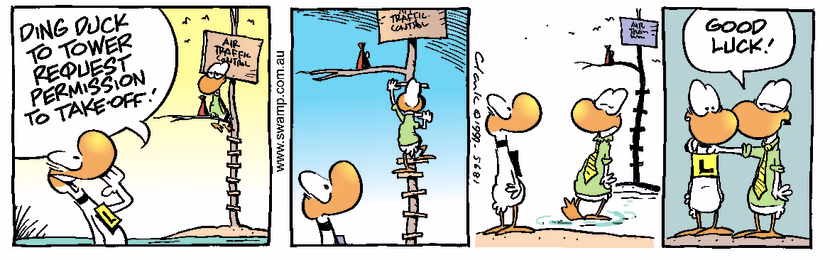 Swamp Cartoon - Request PermissionDecember 6, 1999