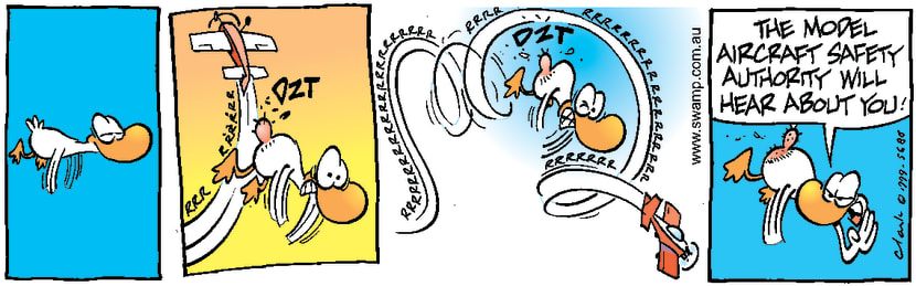 Swamp Cartoon - Model plane attackDecember 11, 1999