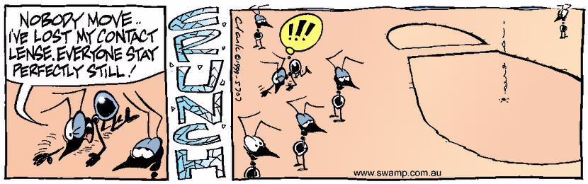 Swamp Cartoon - Lost Contact LensJanuary 5, 2000