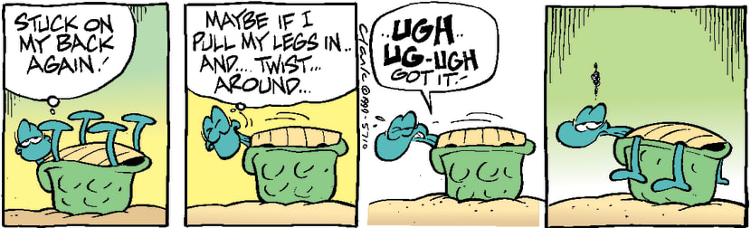 Swamp Cartoon - Stuck turtleJanuary 8, 2000