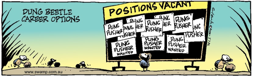 Swamp Cartoon - Career OptionsFebruary 3, 2000