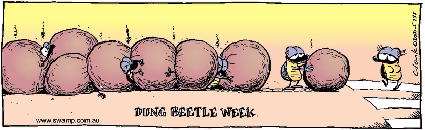 Swamp Cartoon - Dung Beetle Accident ComicFebruary 7, 2000