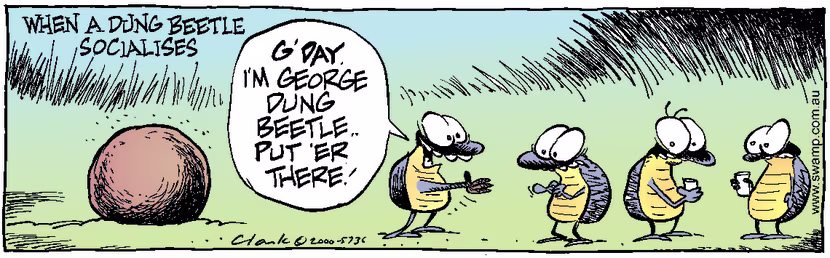 Swamp Cartoon - Dung SocialisingFebruary 8, 2000