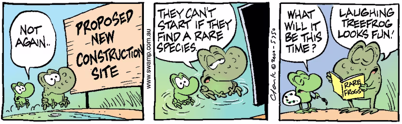 Swamp Cartoon - New Construction SiteFebruary 24, 2000